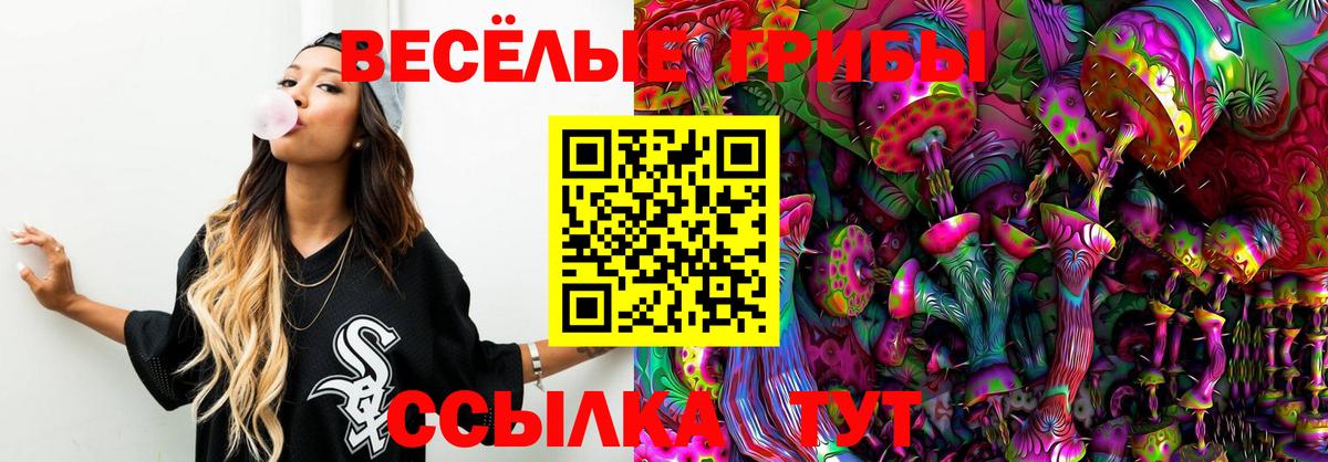 Калач-на-Дону  Галлюциногенные грибы ЛСД  Вход с VPN 
